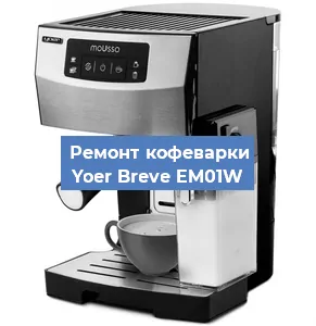 Чистка кофемашины Yoer Breve EM01W от кофейных масел в Волгограде
